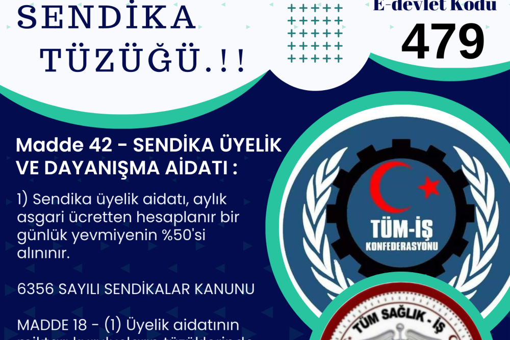 Tüm Sağlık İş Aidatı